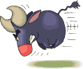 capra carica.gif
